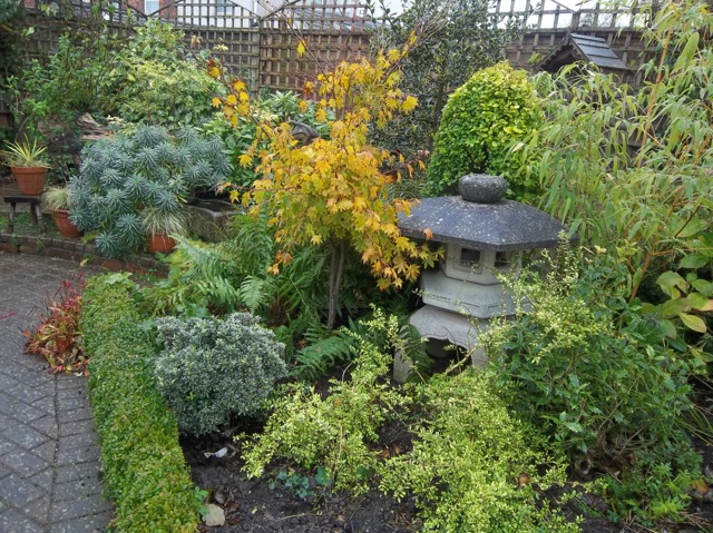 Japanese Lantern in the garden at Marigold Cottage