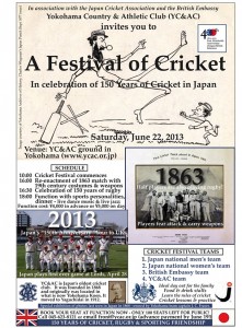 A Festival of Cricket